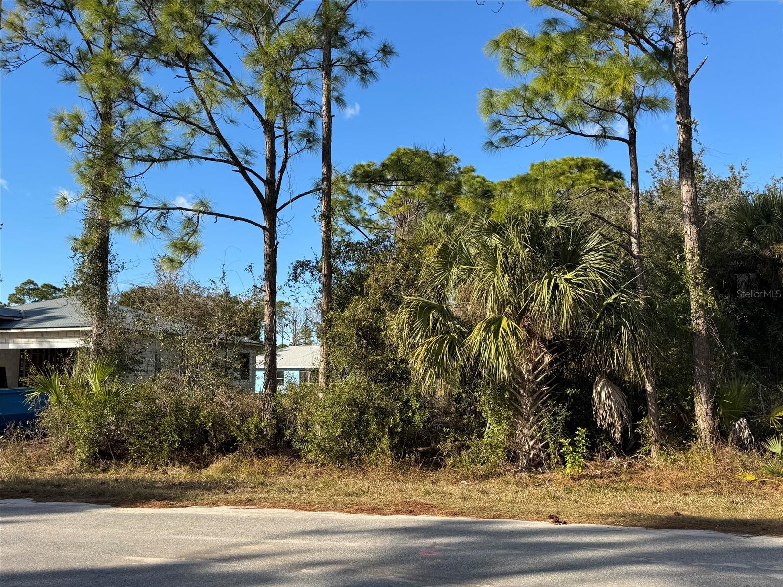 Lot 28 SWISS AVE — photo 5