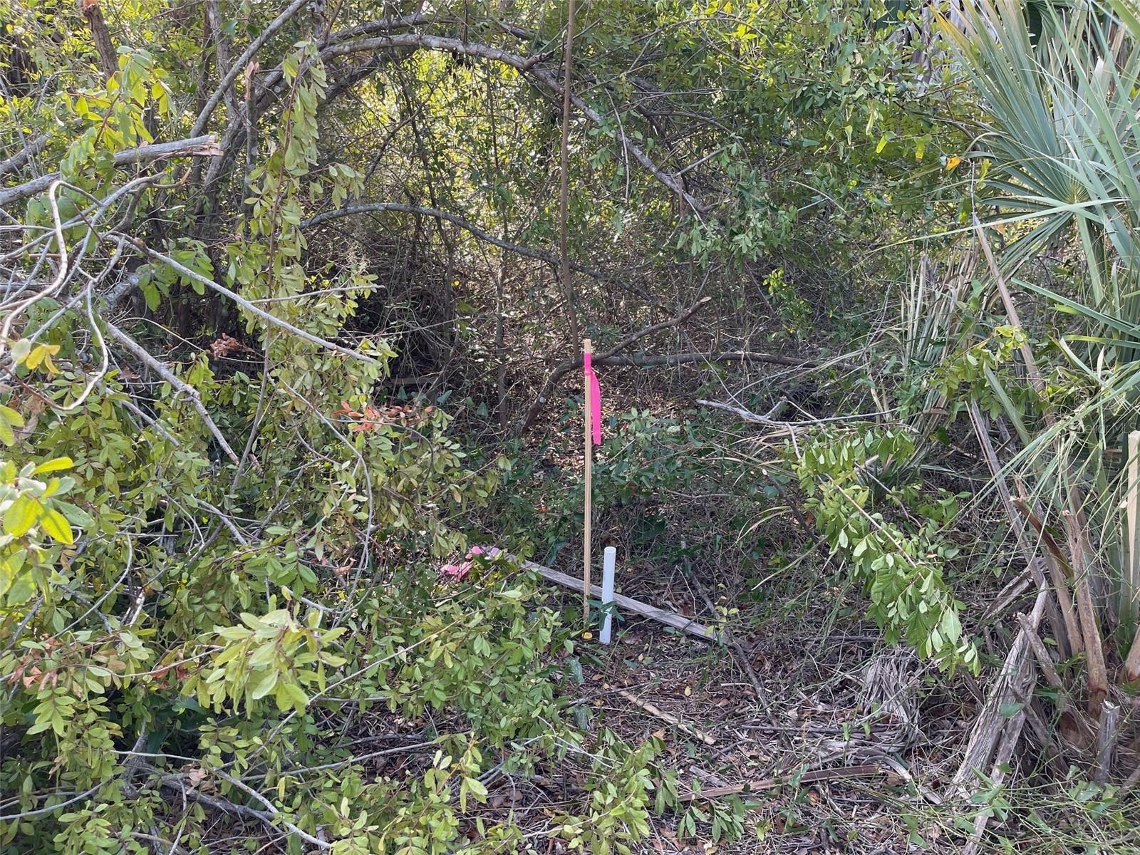 ABATE AVE #Lot 10 — photo 3