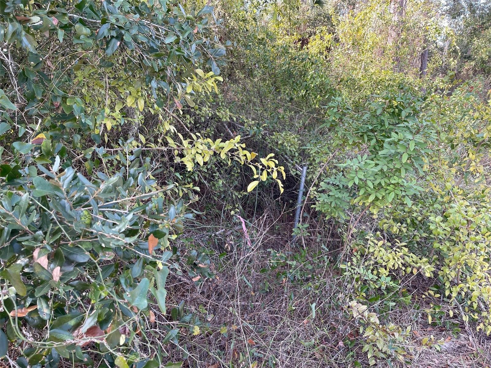 ABATE AVE #Lot 10 — photo 4