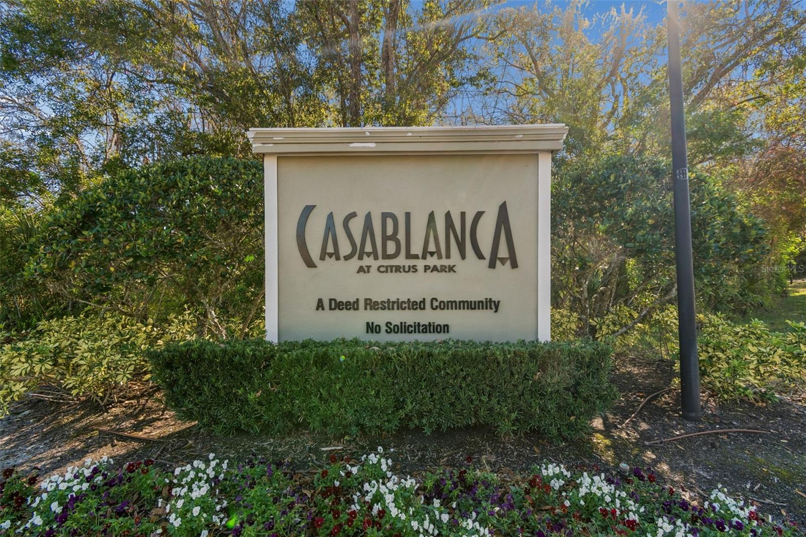 8809 CASABLANCA WAY — photo 46