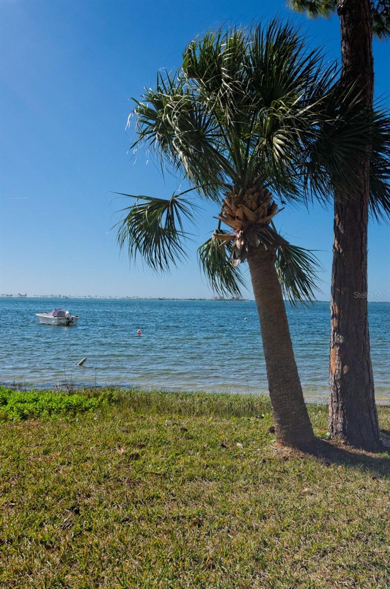 2700 BAYSHORE BLVD #3310 — photo 32