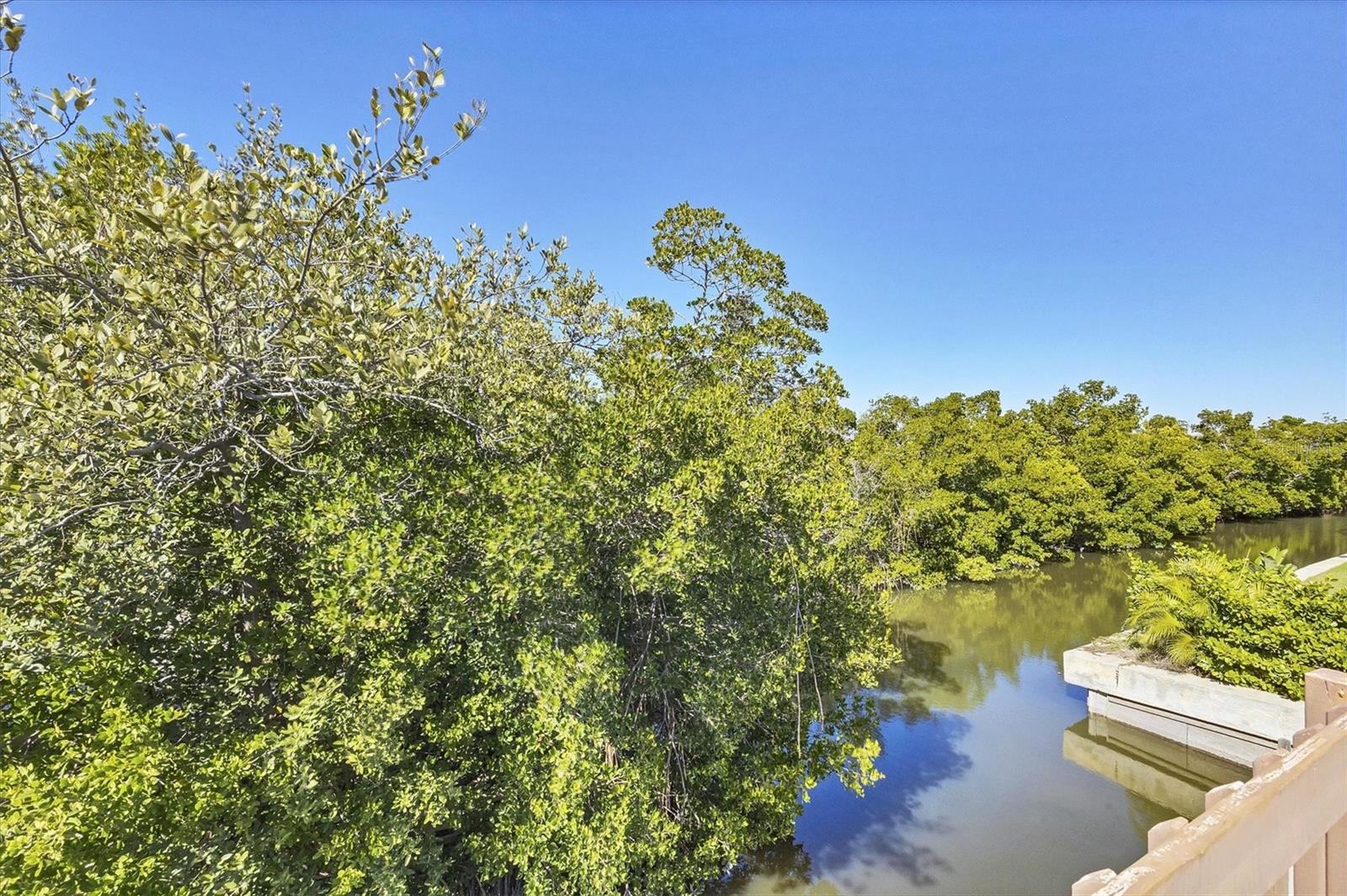 651 JUNGLE QUEEN WAY — photo 44