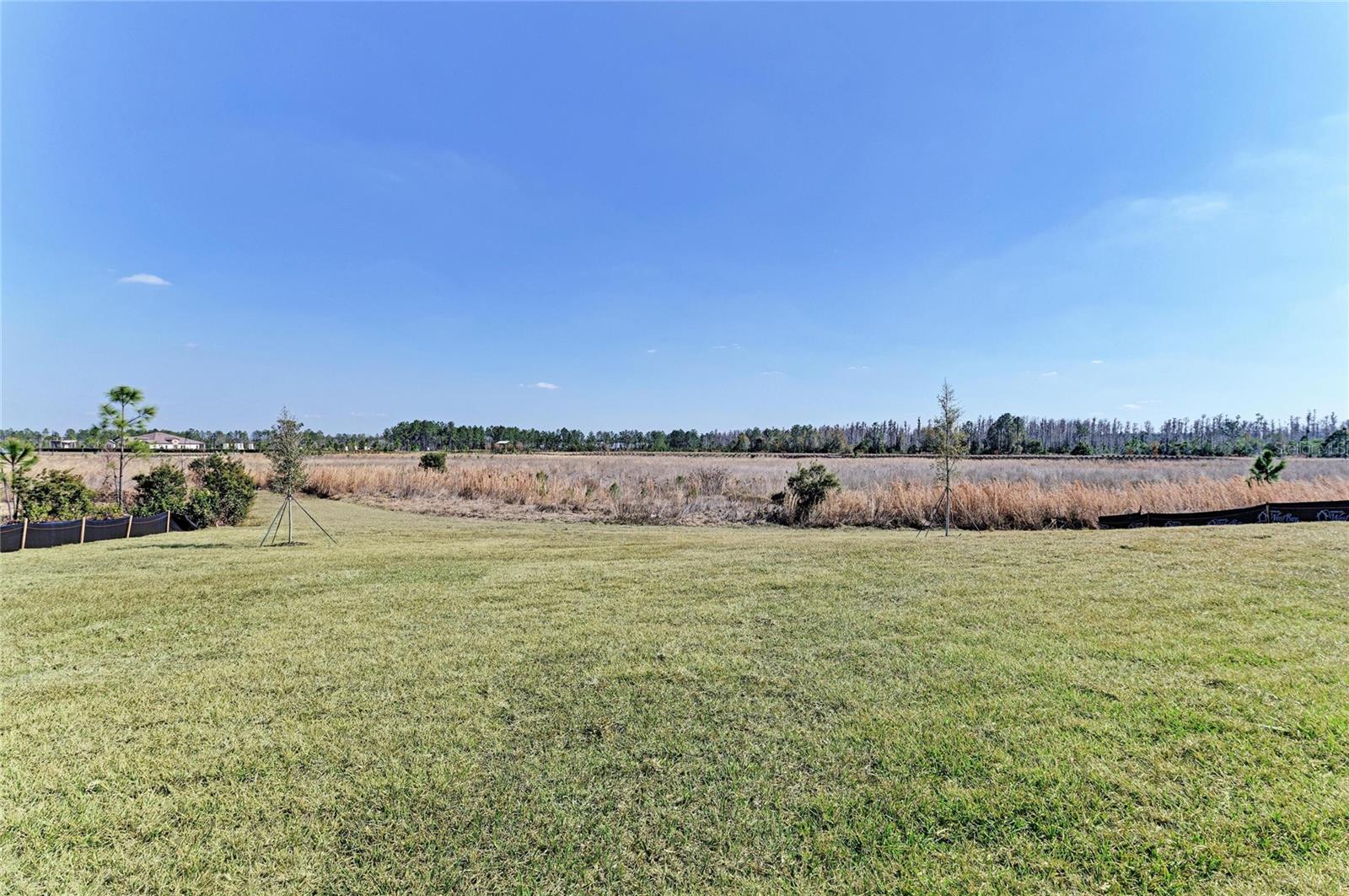 2058 ARCHING BRANCH DR — photo 40