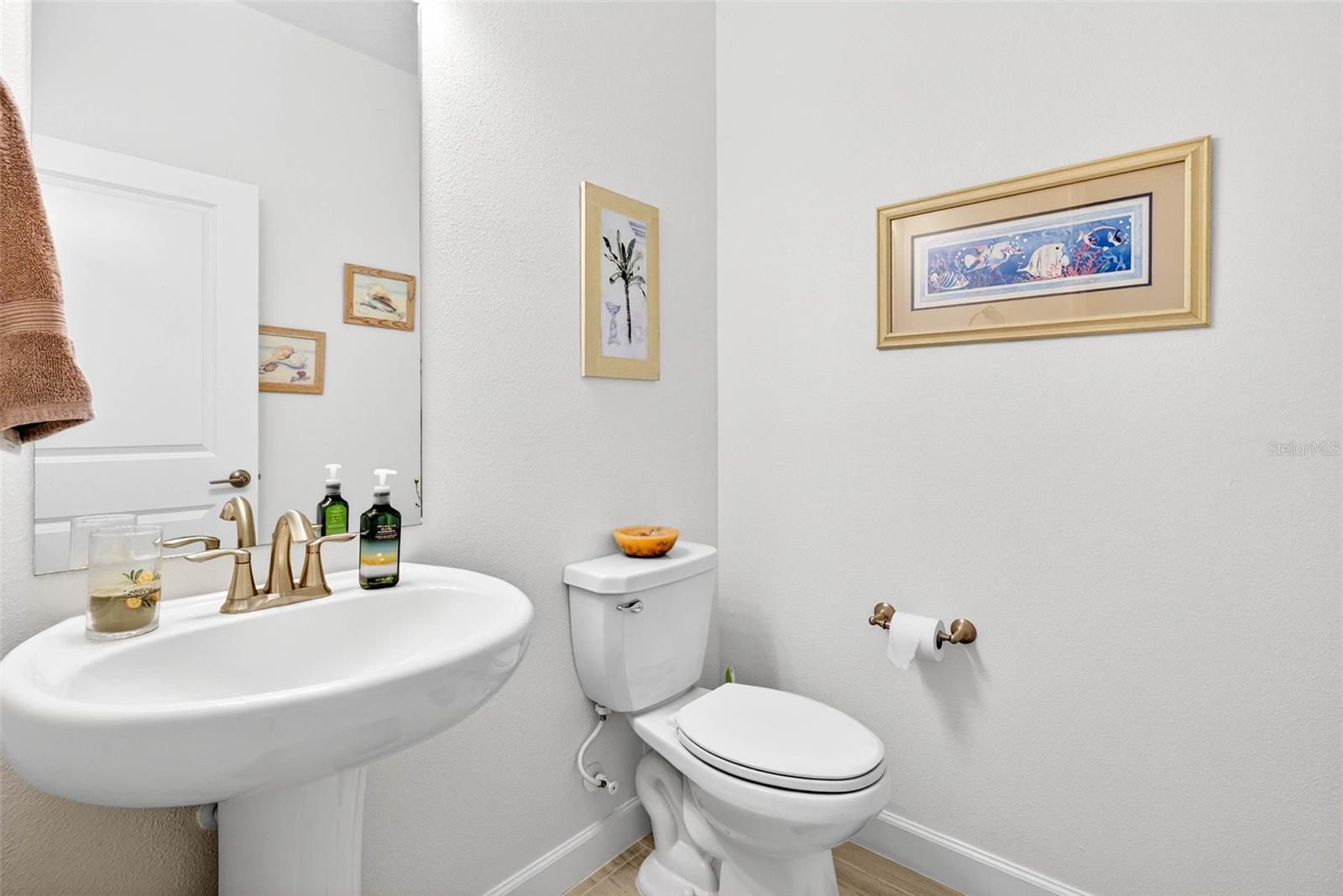 17245 STAR BANKS ST — photo 9