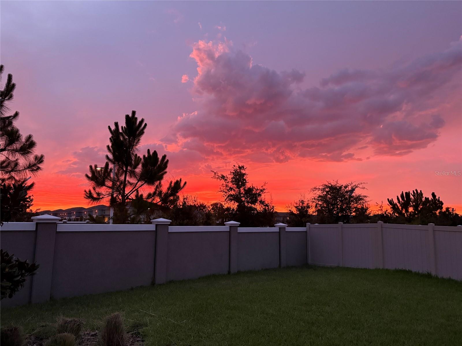 17245 STAR BANKS ST — photo 44