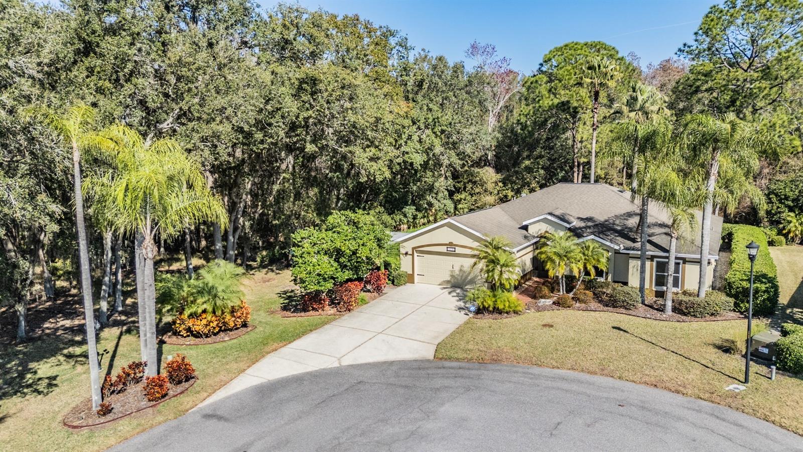 10133 COLLAR DR — photo 6