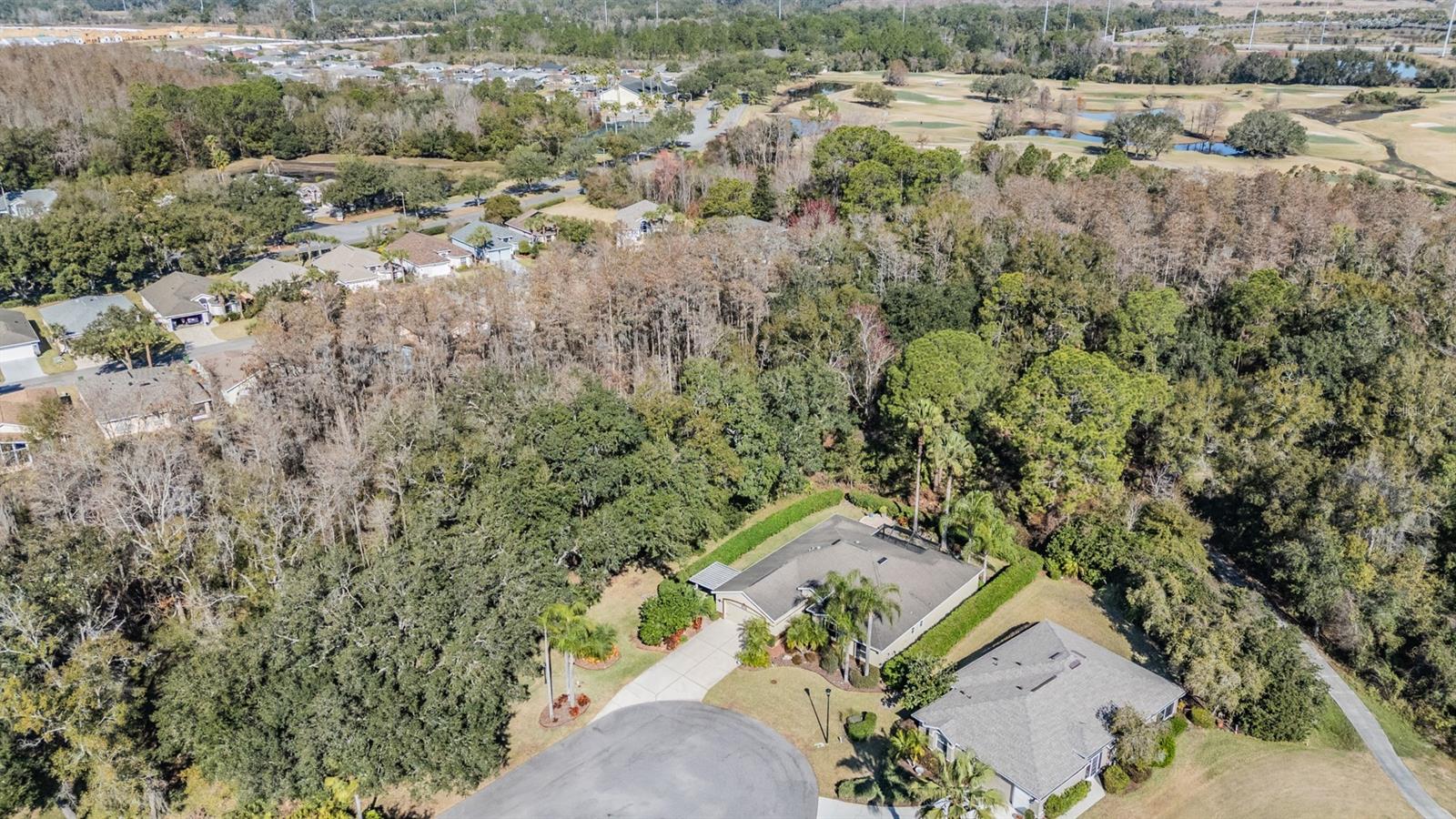 10133 COLLAR DR — photo 47