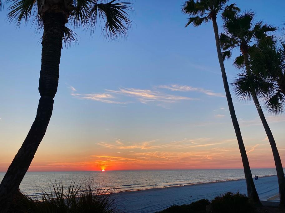 16000 GULF BLVD — photo 44