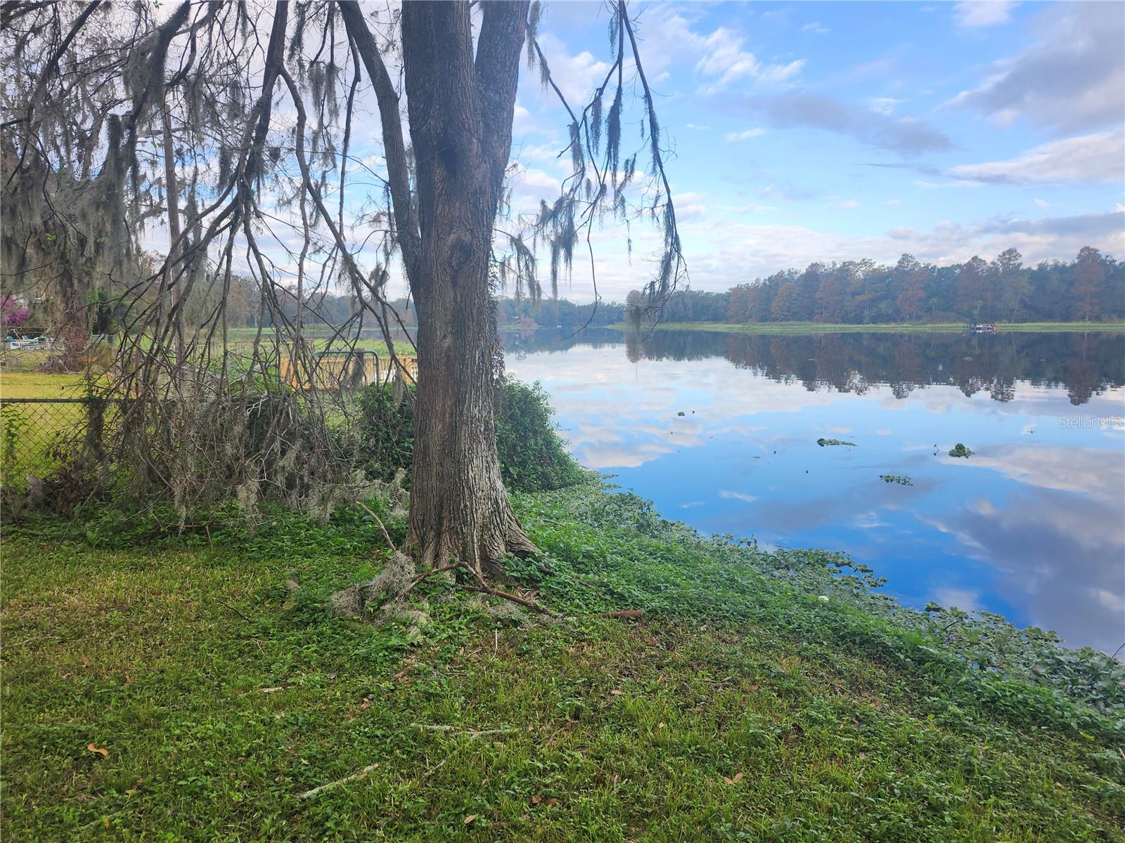 3606 RIVER GROVE DR — photo 3