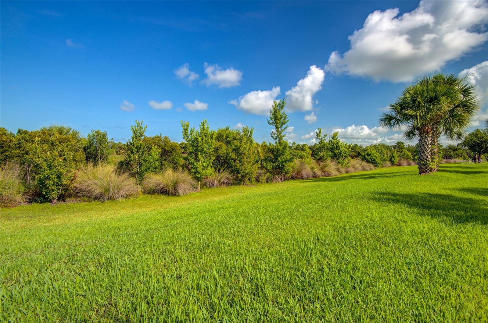 12232 MARSH POINTE RD — photo 41