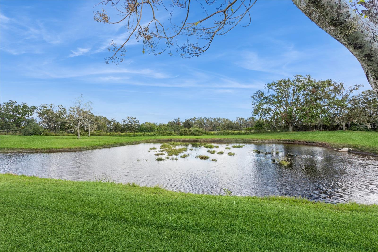 1433 EMERALD HILL WAY — photo 35
