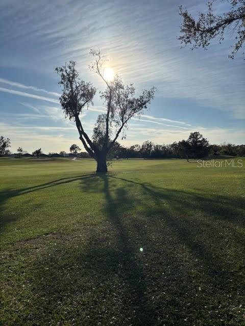 1433 EMERALD HILL WAY — photo 40