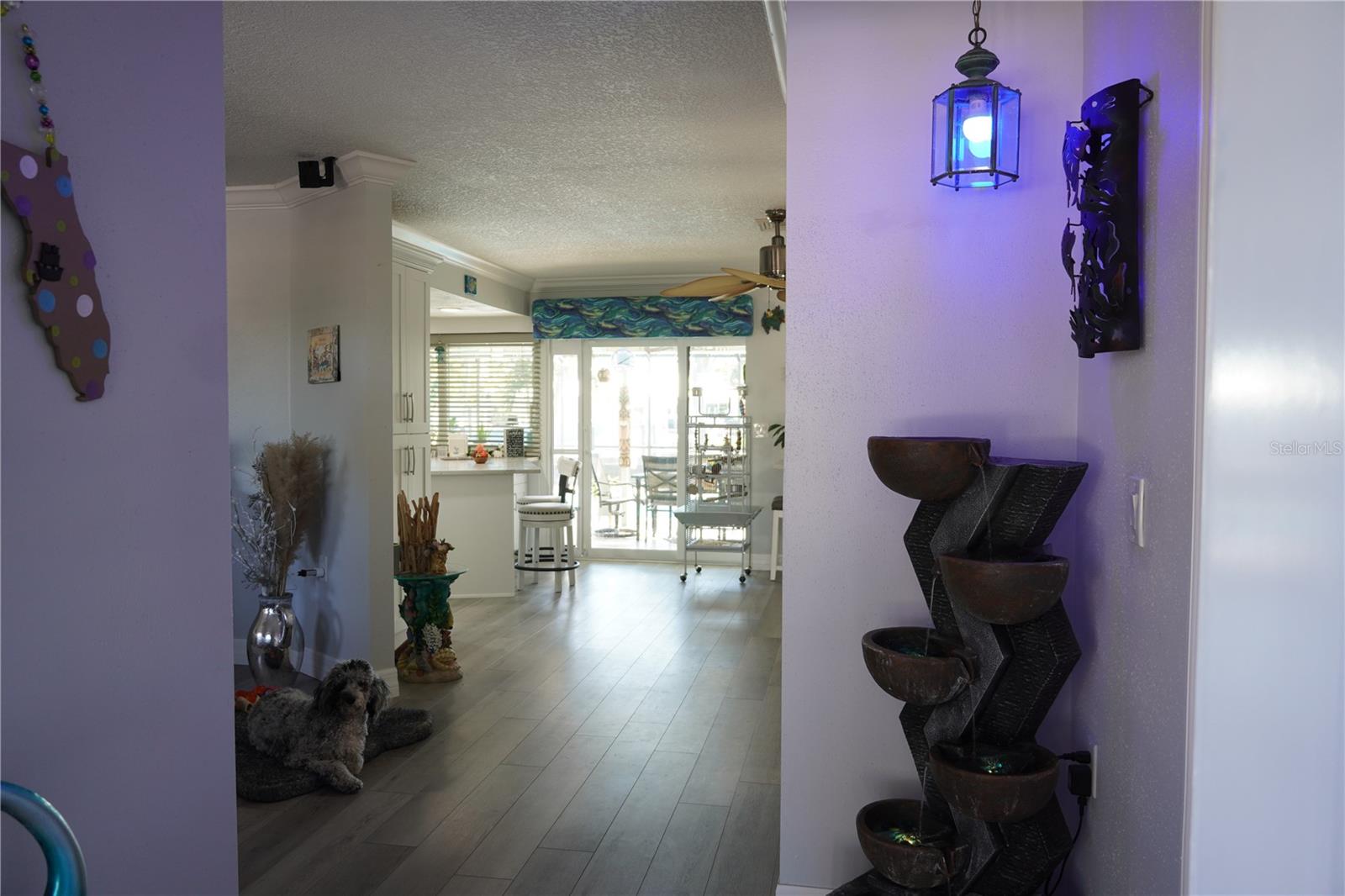 908 SAGO PALM WAY — photo 27