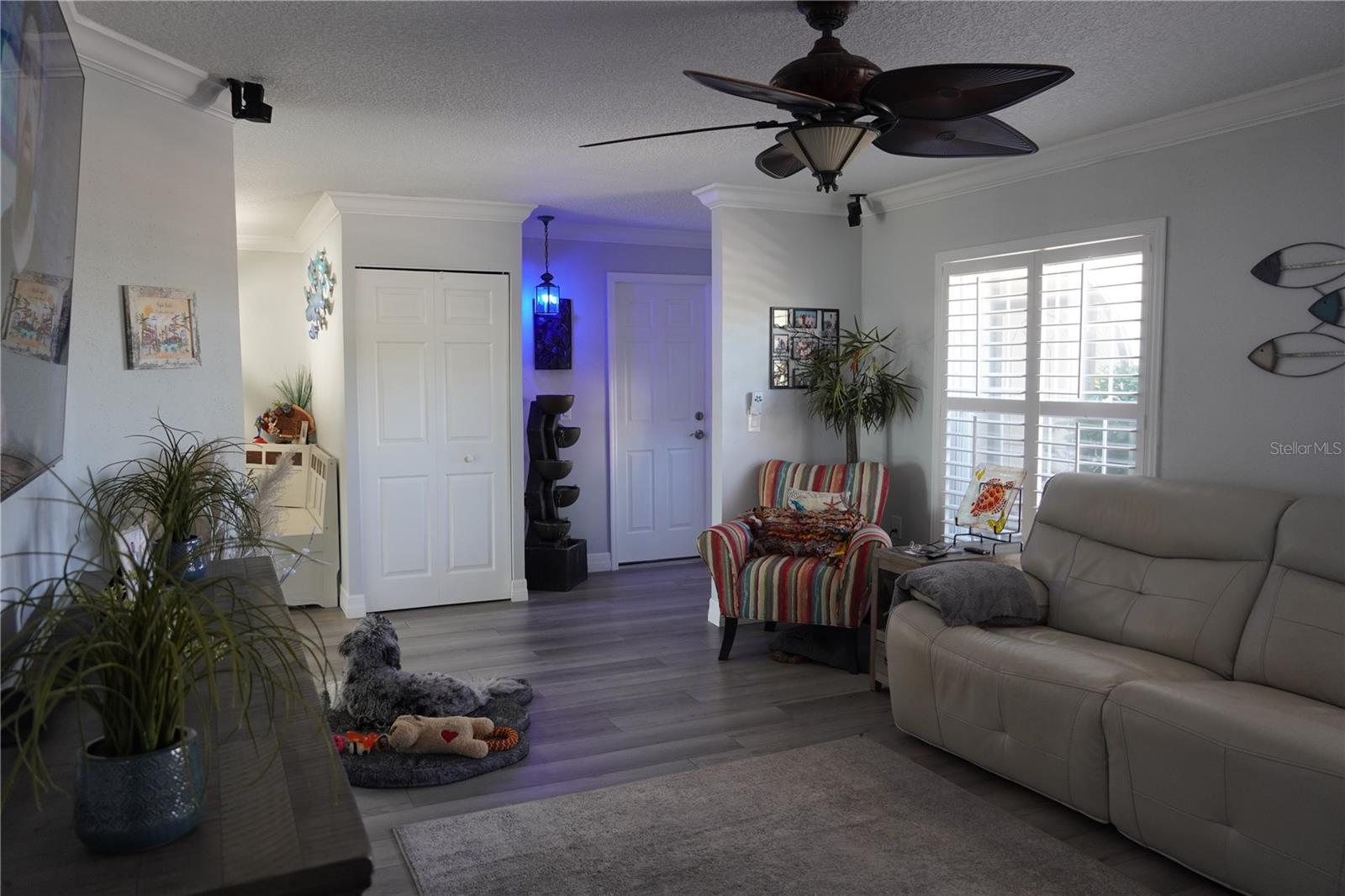908 SAGO PALM WAY — photo 30