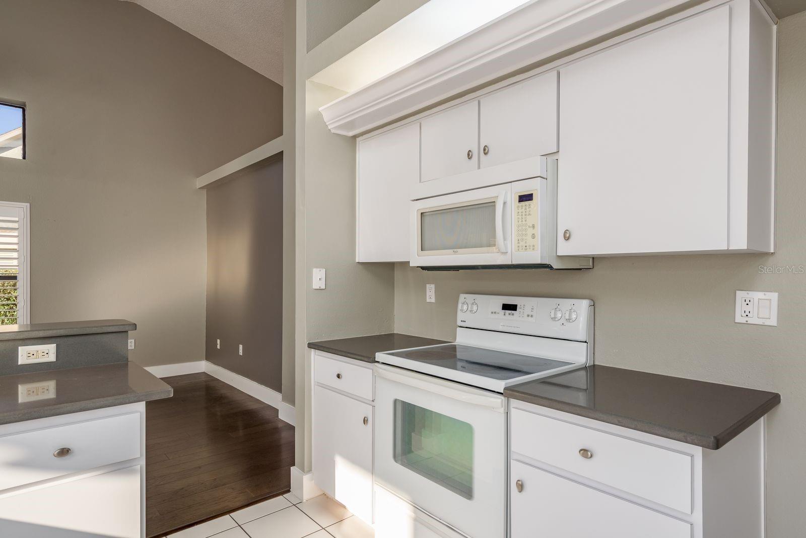 9326 PALM HAVEN CT — photo 13