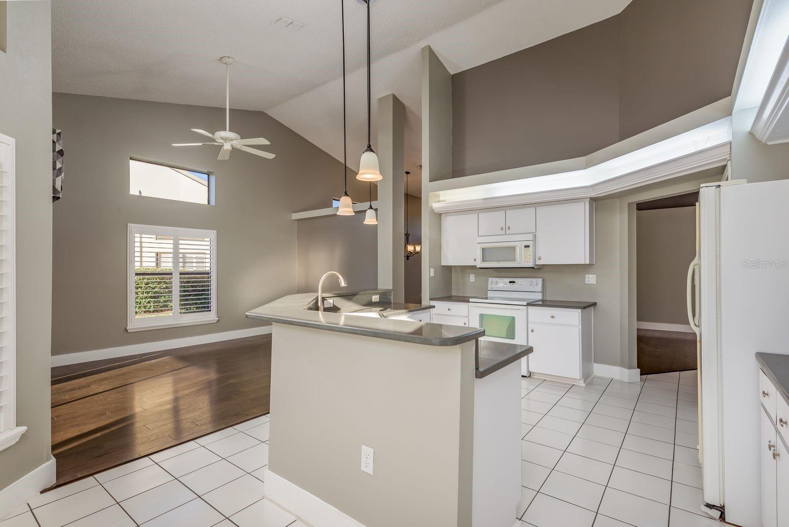 9326 PALM HAVEN CT — photo 12