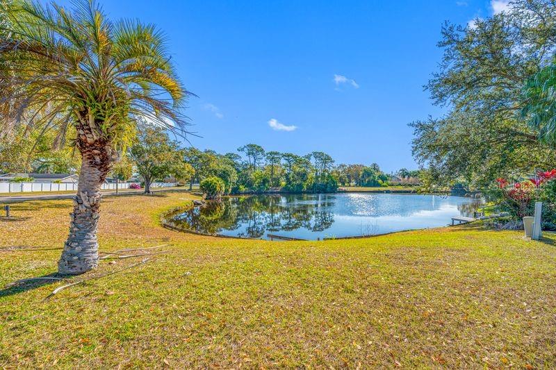 3241 BUCKHORN DR — photo 36