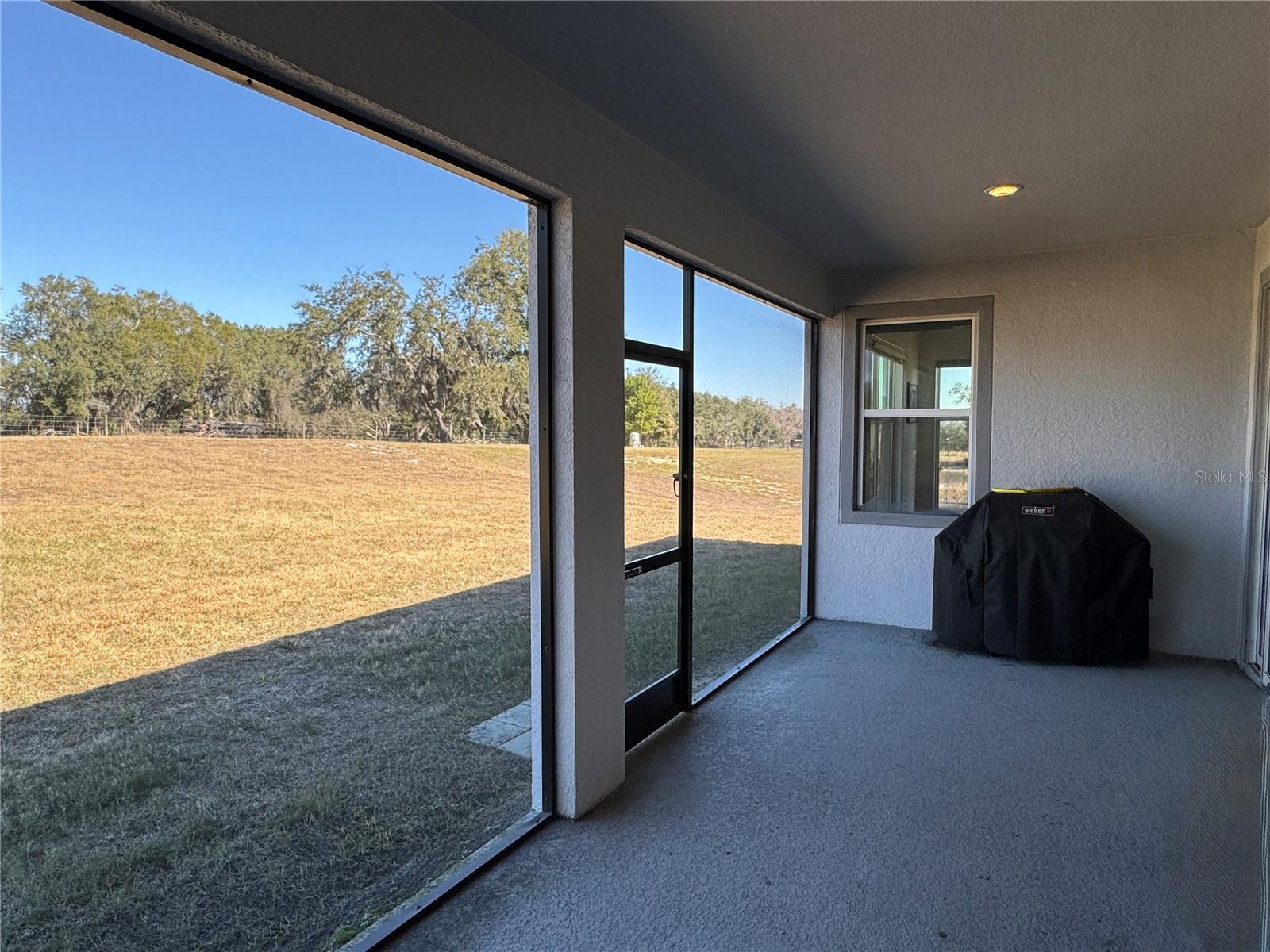 10190 DOLPHIN GULL CIR — photo 41