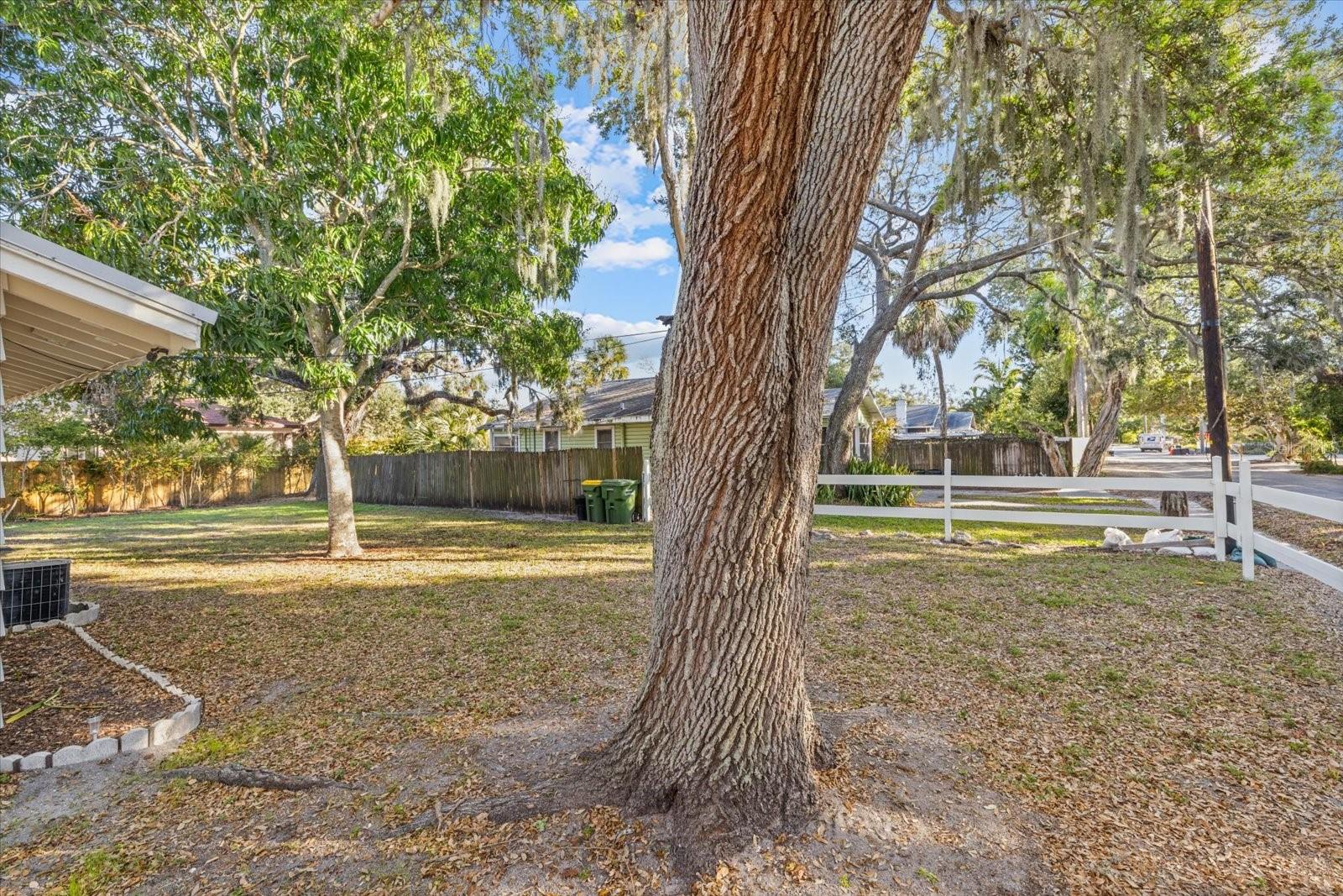 1010 INDIAN BEACH DRIVE DR — photo 6