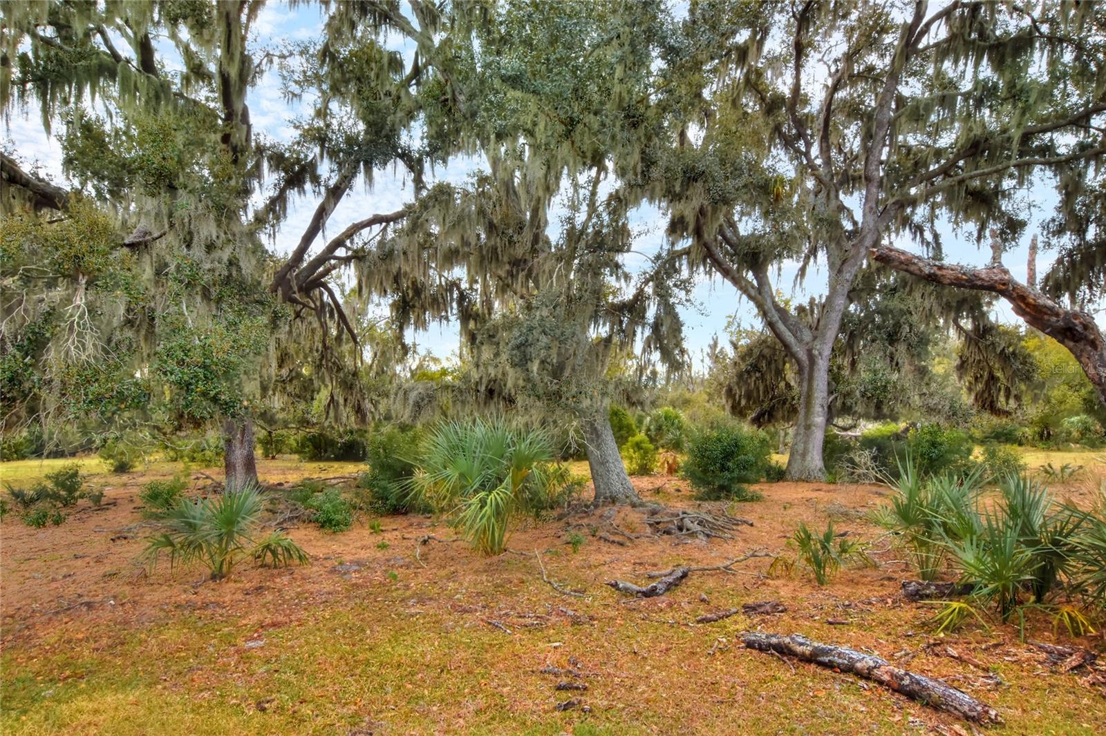 0 CARLTON LAKE RD — photo 5