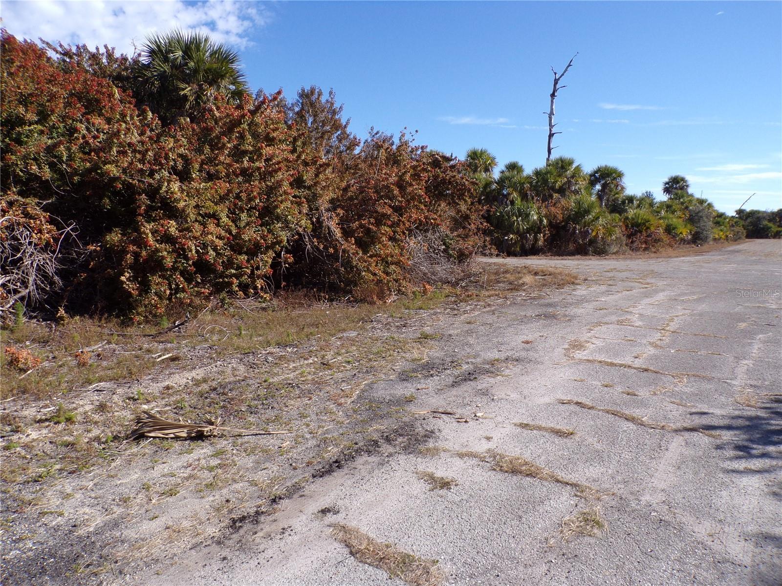 CRIMSONGLORY RD — photo 5