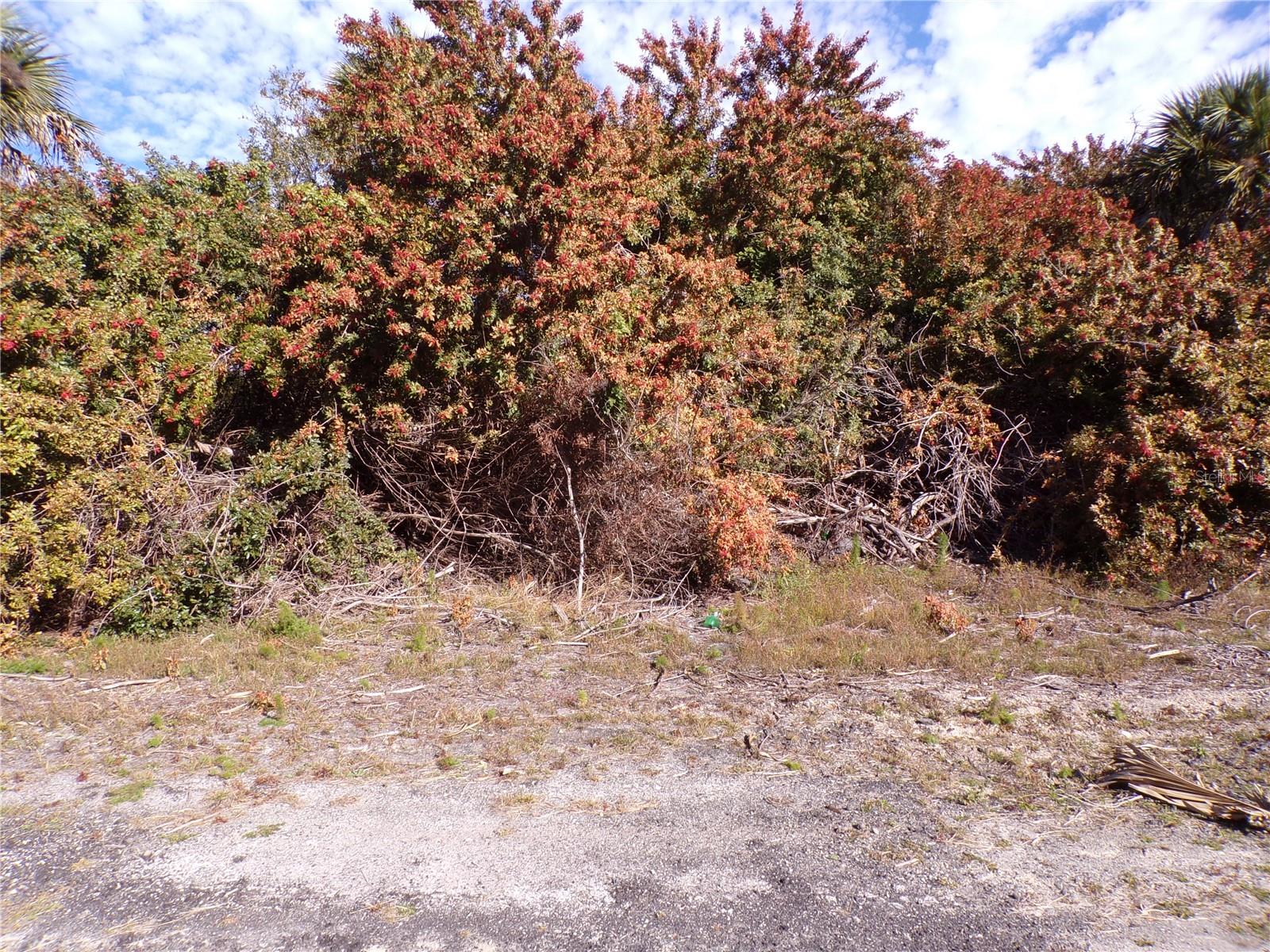 CRIMSONGLORY RD — photo 3