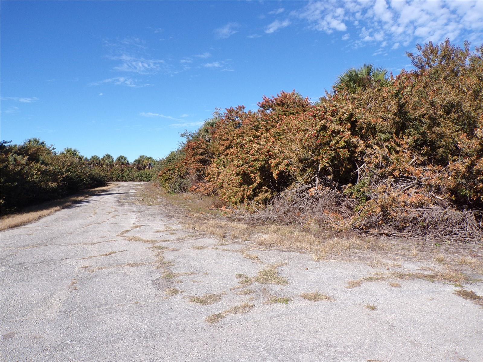 CRIMSONGLORY RD — photo 2