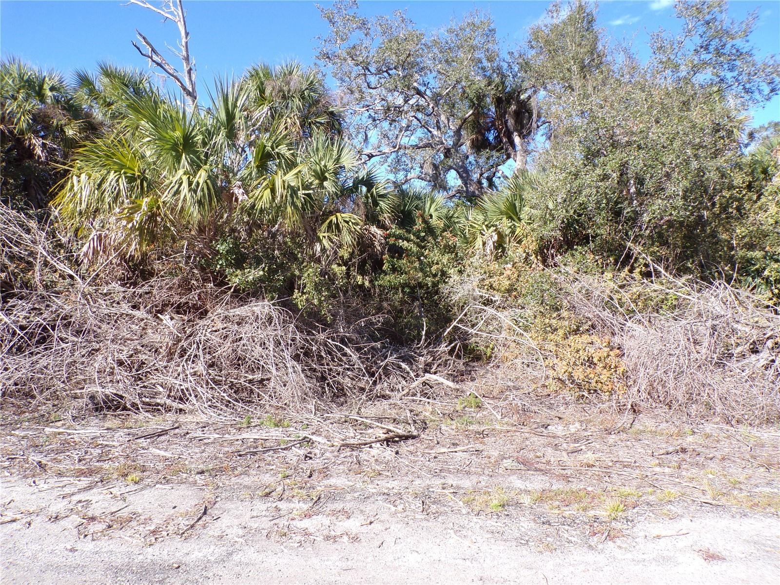 CRIMSONGLORY RD — photo 8