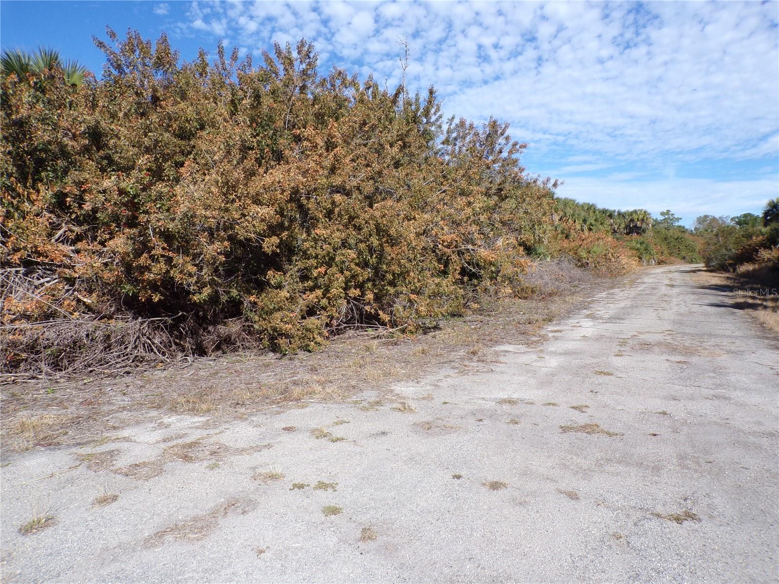 CRIMSONGLORY RD — photo 7