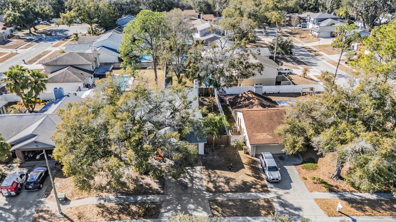 12604 RAIN FOREST ST — photo 42