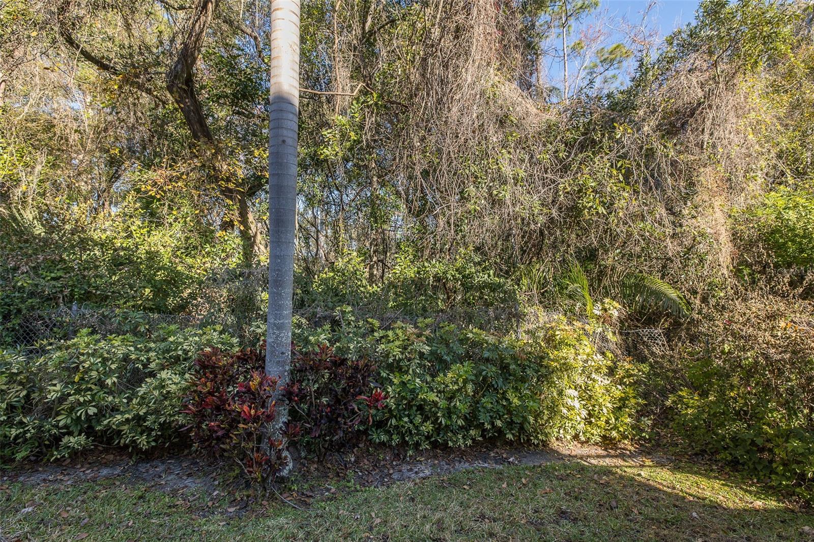 2676 TANGLEWOOD TRL — photo 10
