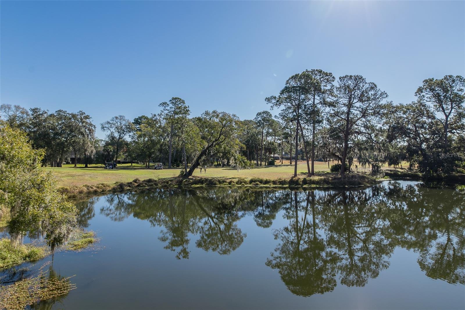 2676 TANGLEWOOD TRL — photo 4