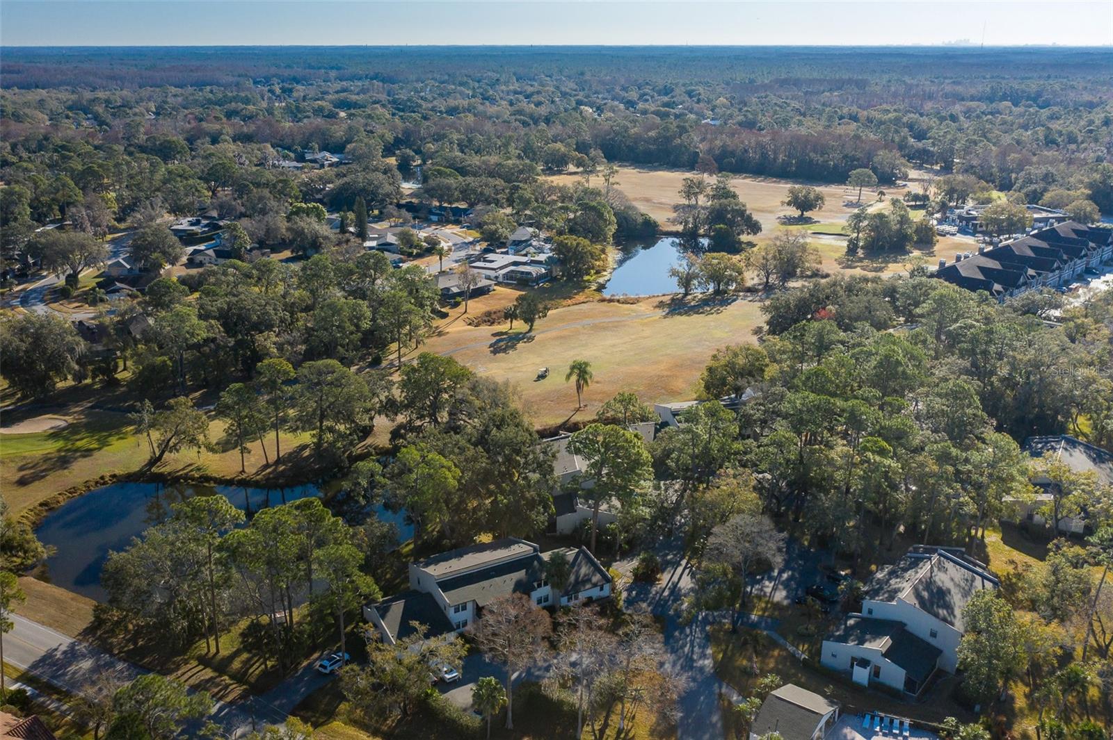 2676 TANGLEWOOD TRL — photo 6