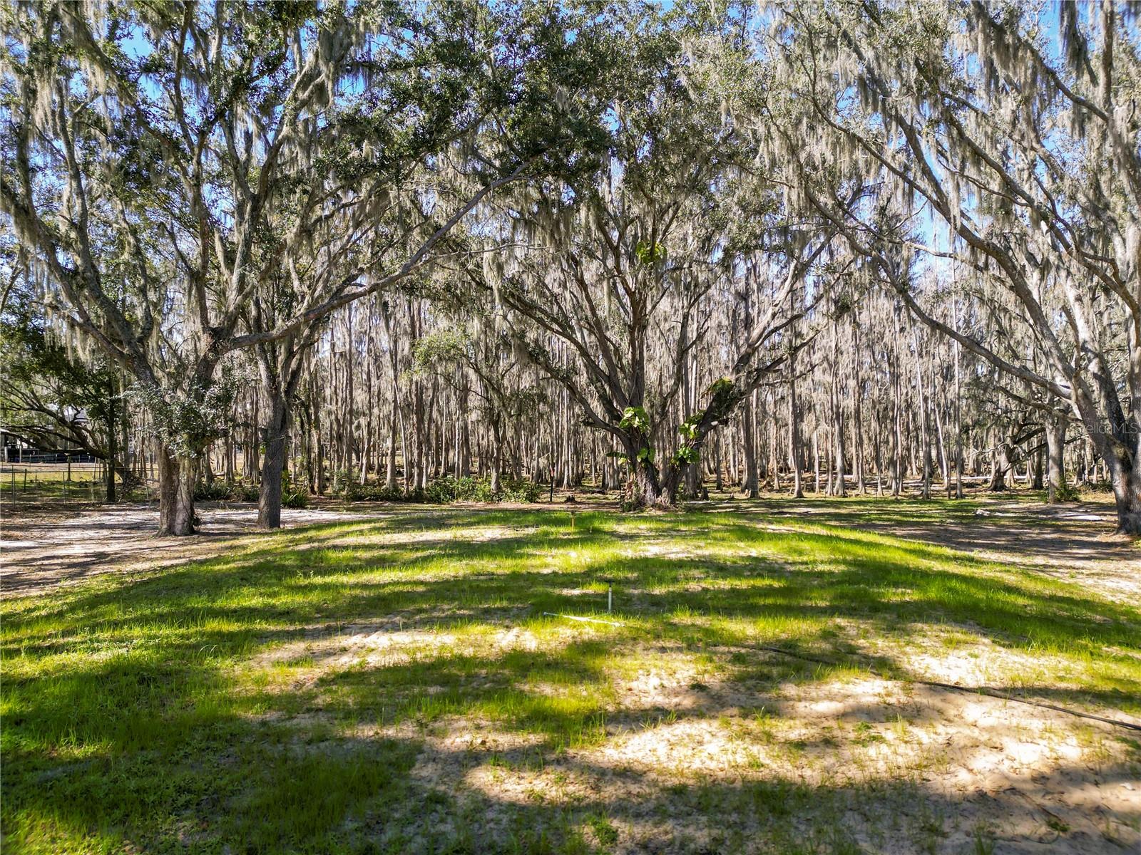 7405 SHOUPE RD — photo 63
