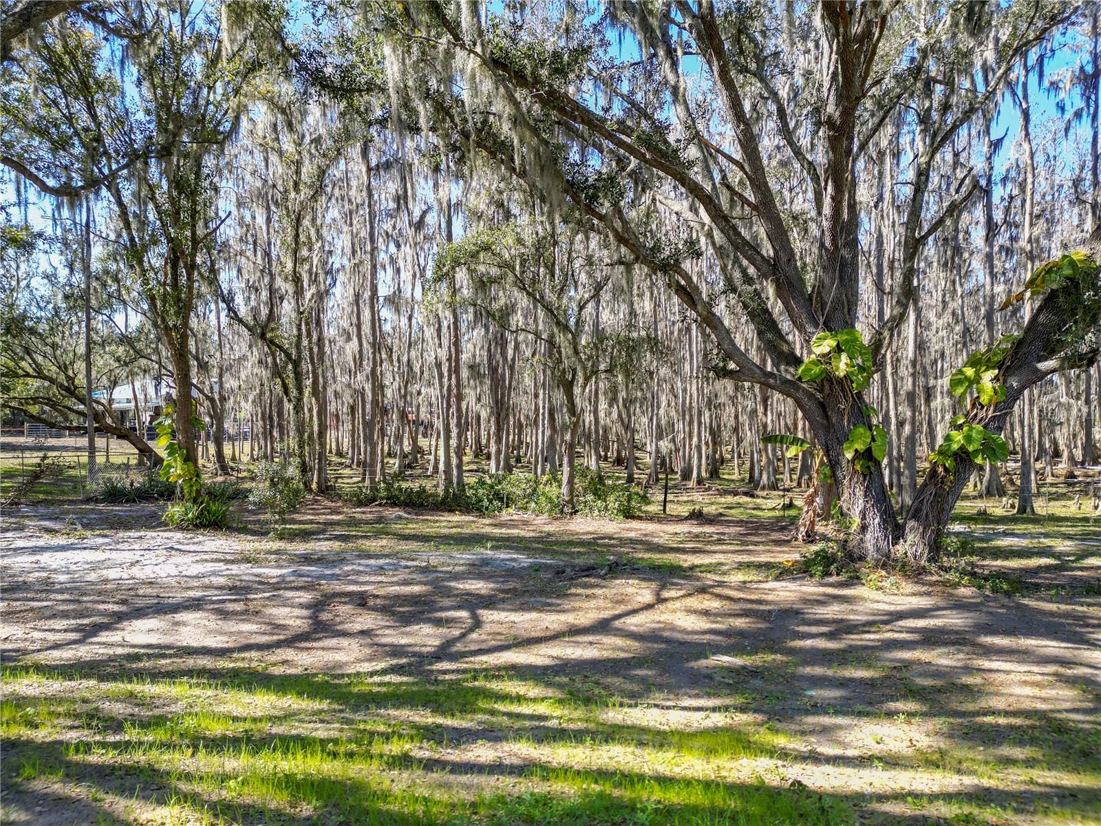7405 SHOUPE RD — photo 59