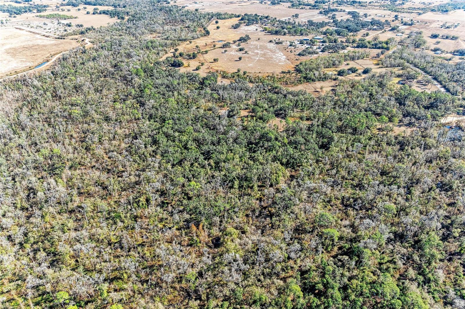 33100 & 33070 TAYLOR GRADE RD — photo 30
