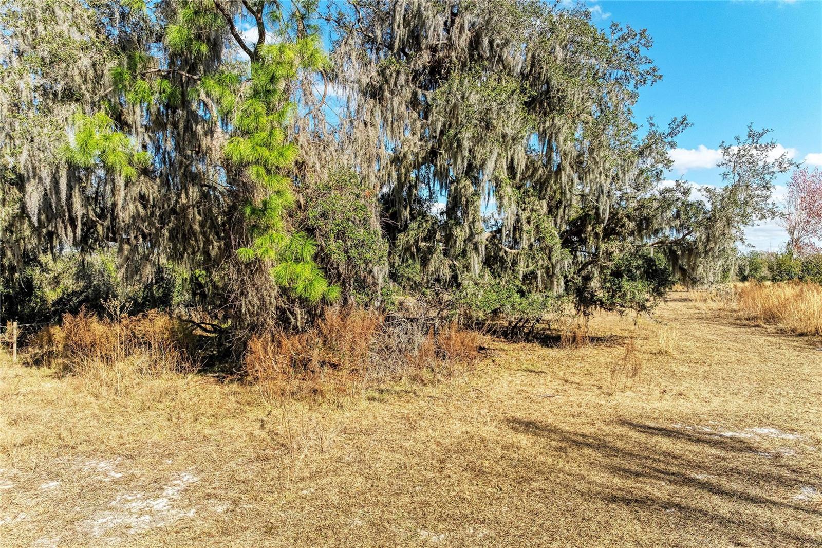 33100 & 33070 TAYLOR GRADE RD — photo 12