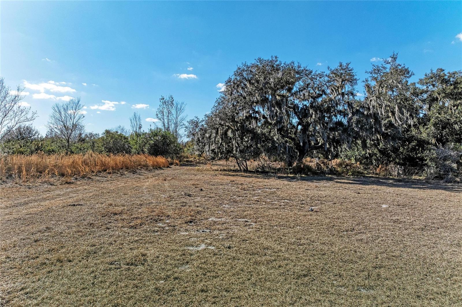 33100 & 33070 TAYLOR GRADE RD — photo 16