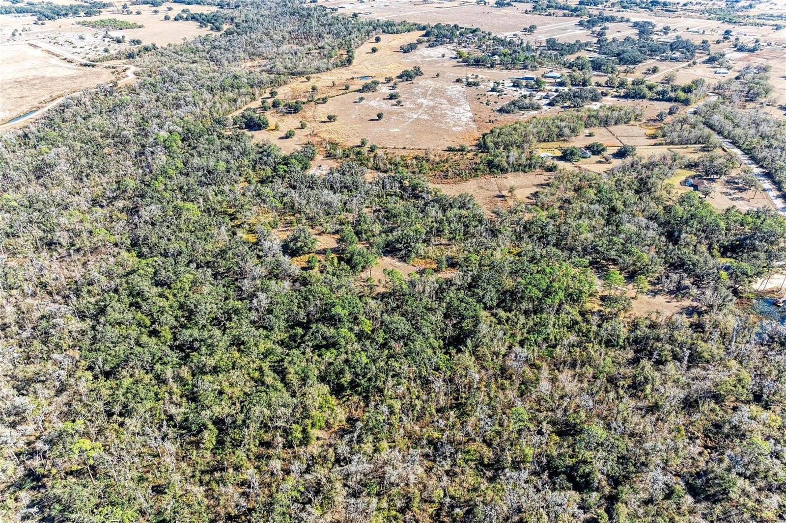33100 & 33070 TAYLOR GRADE RD — photo 32