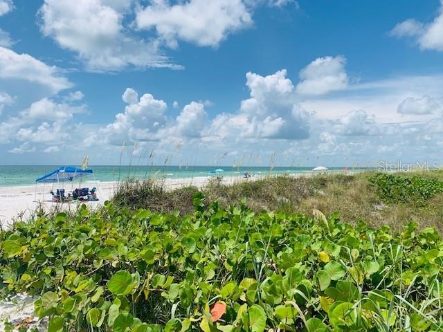 2109 BAYSHORE DR — photo 39