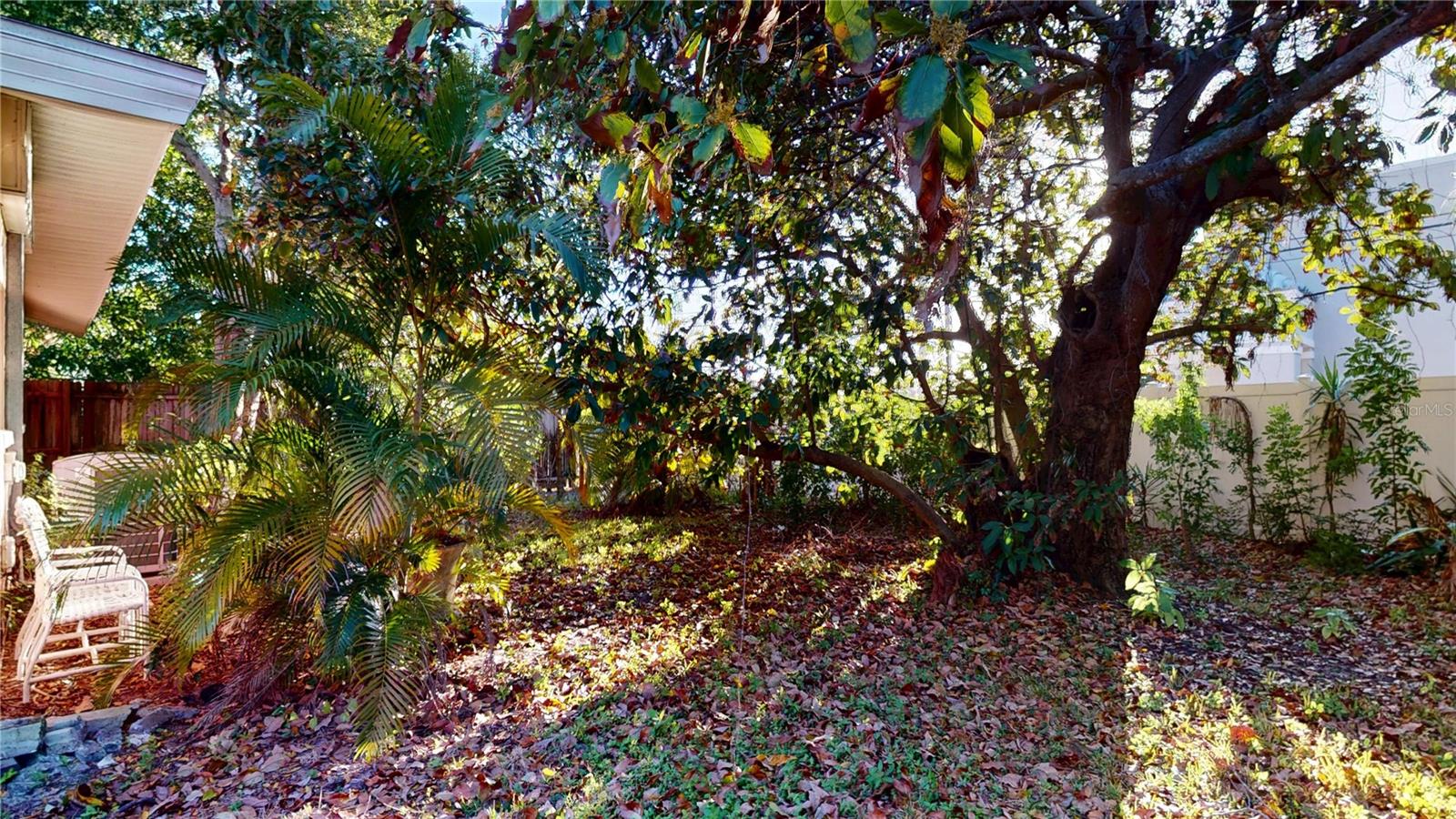 1546 BELLEAIR RD — photo 43