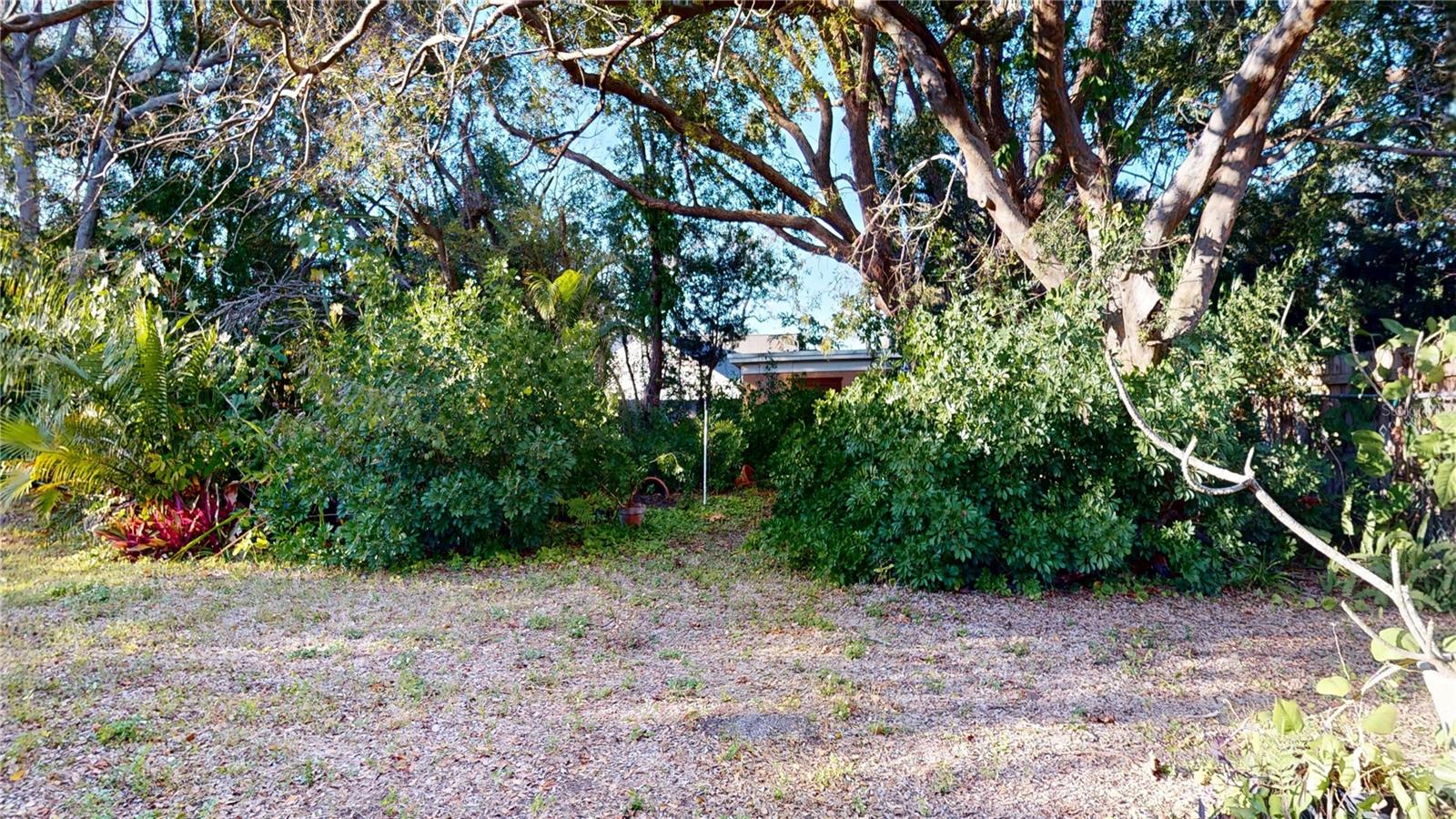 1546 BELLEAIR RD — photo 41