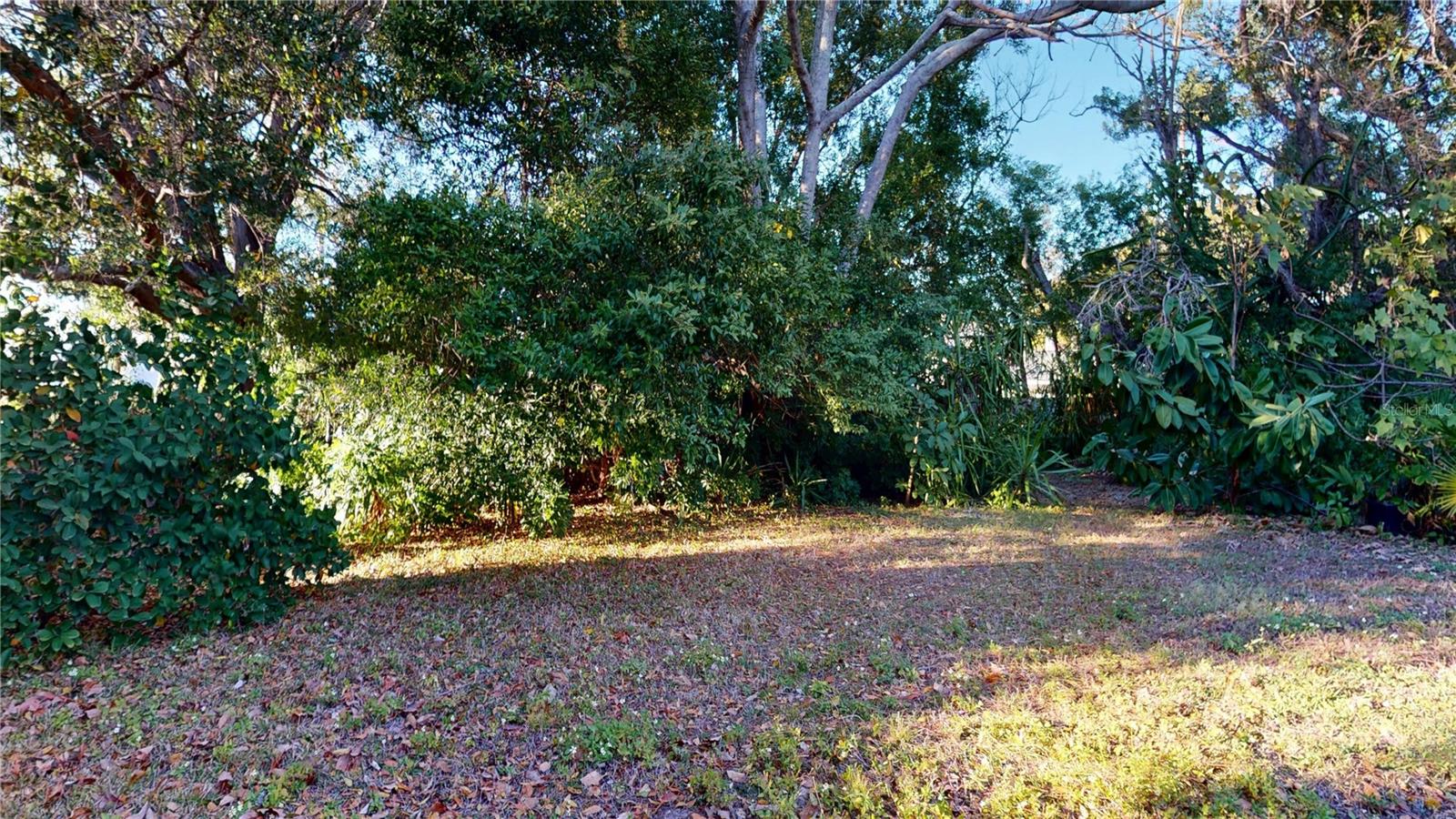 1546 BELLEAIR RD — photo 44