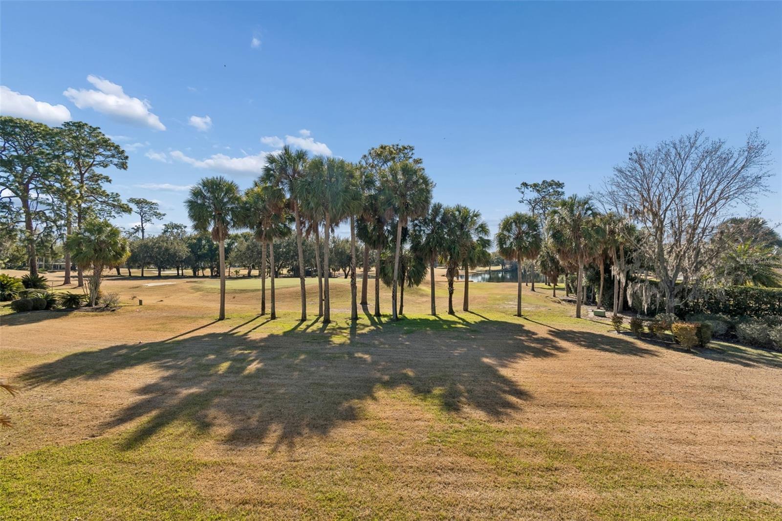 29244 WHIPPORWILL LN — photo 32