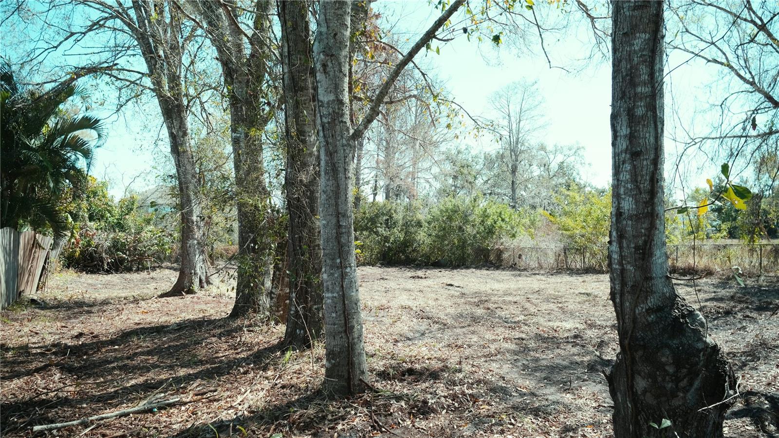 00 N LOCKWOOD RIDGE RD — photo 4