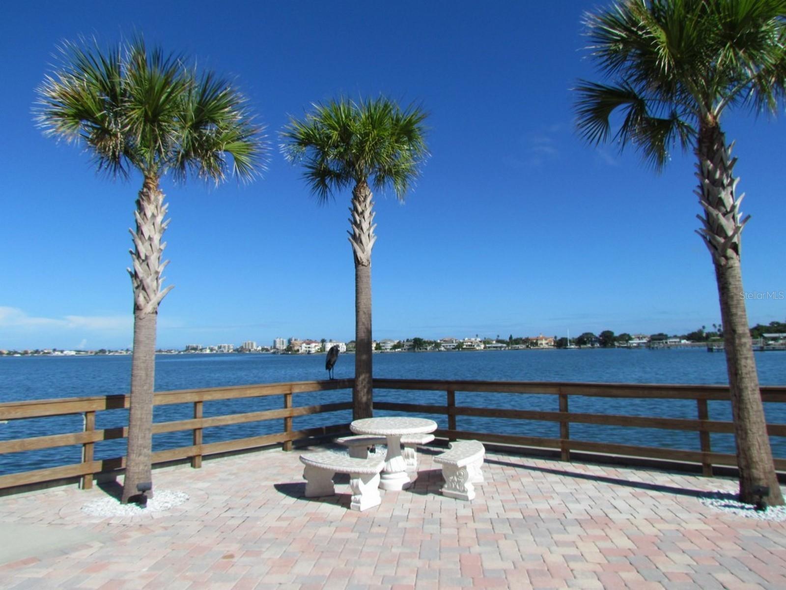 100 BLUFF VIEW DR #317A — photo 18
