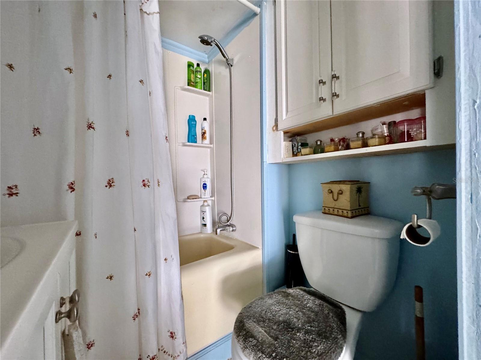 4842 BRITNI WAY #058 — photo 8