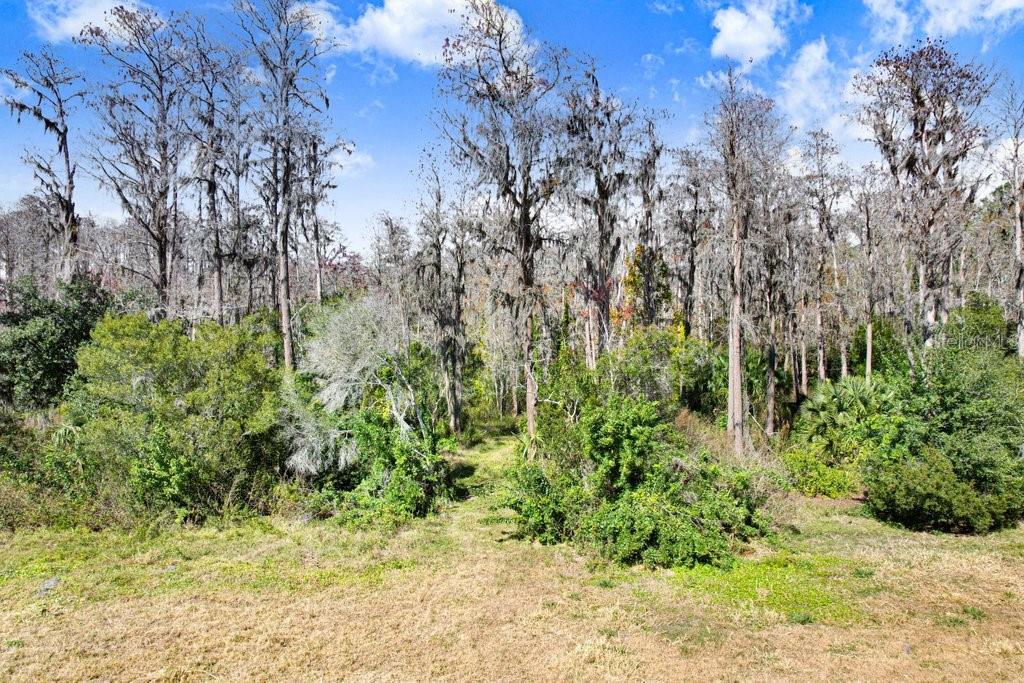 17308 TOBACCO RD — photo 34