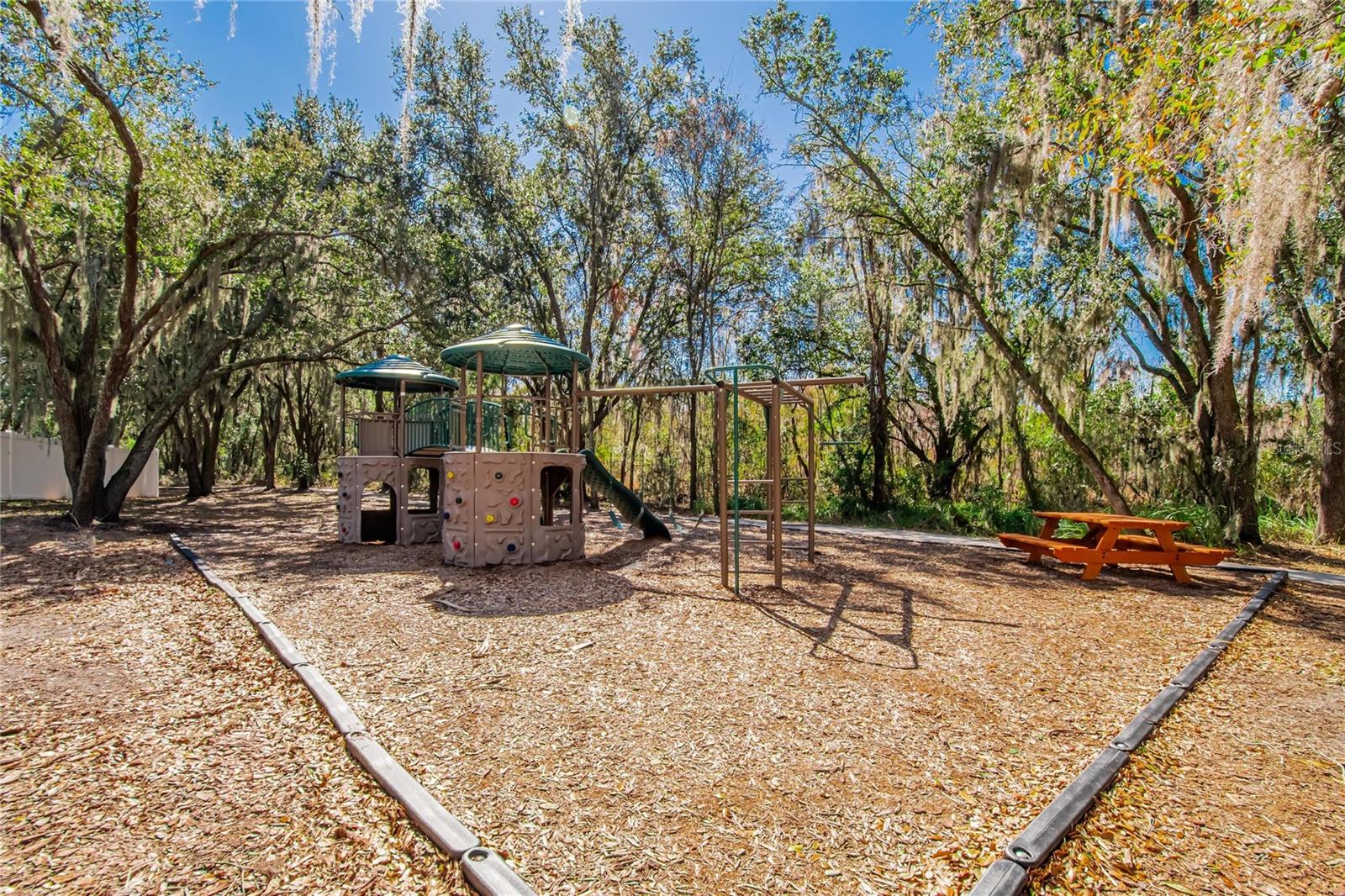 2819 HOLLY BLUFF CT — photo 50