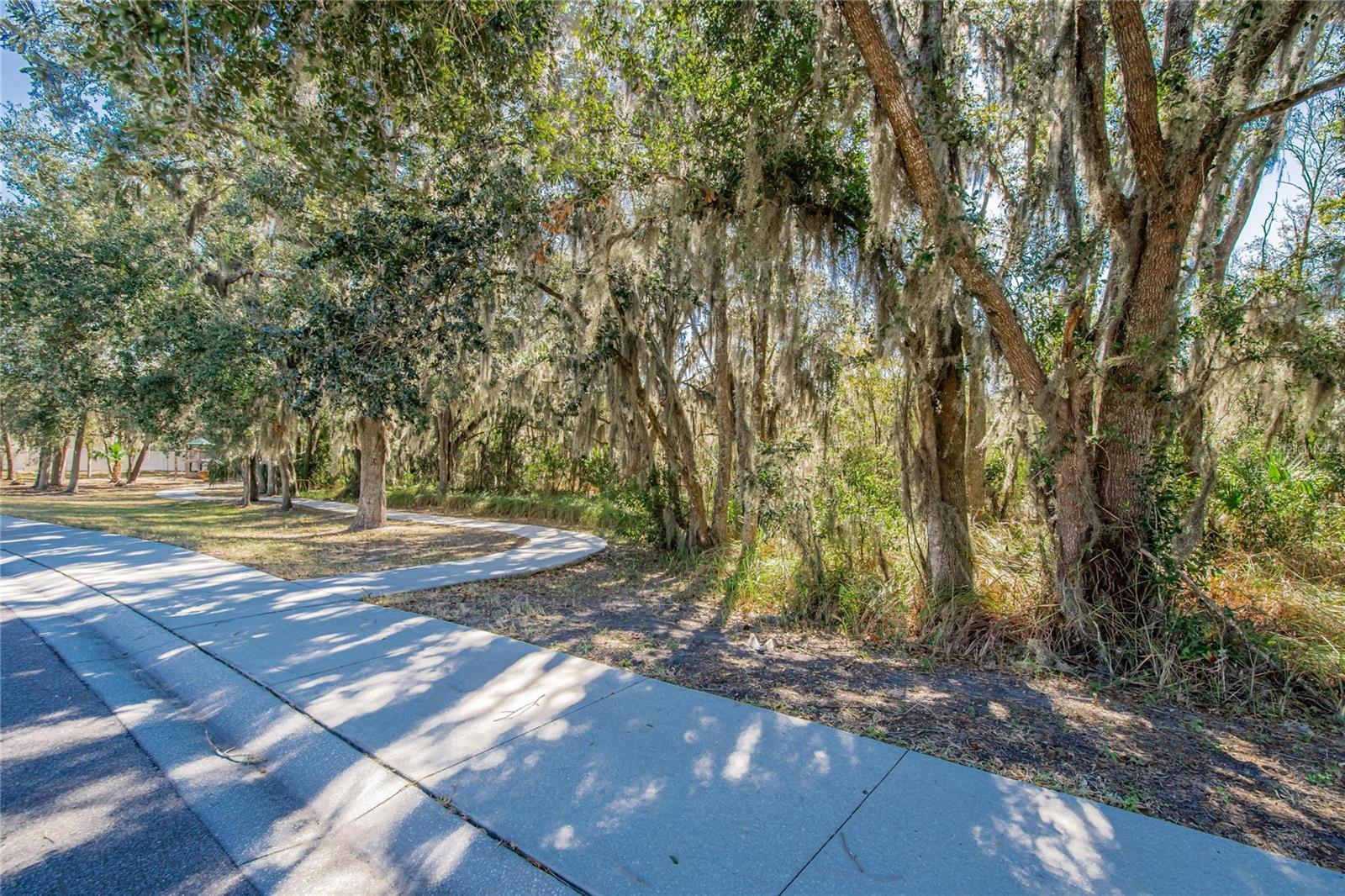 2819 HOLLY BLUFF CT — photo 44